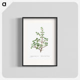 1-23_Histoire-des-Plantes-Grasses_blk
