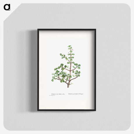 1-23_Histoire-des-Plantes-Grasses_blk