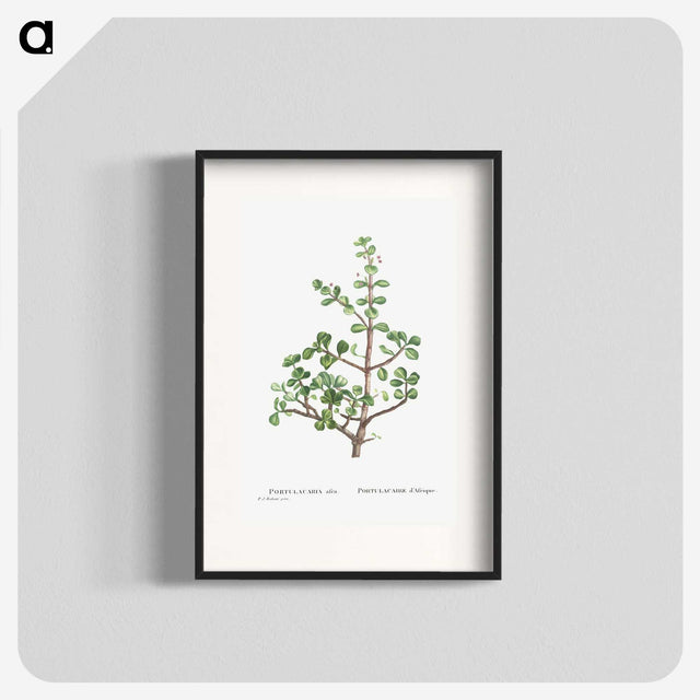 1-23_Histoire-des-Plantes-Grasses_blk