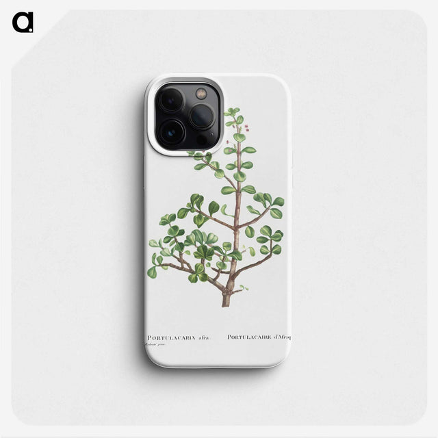 1-23_Histoire-des-Plantes-Grasses_phone