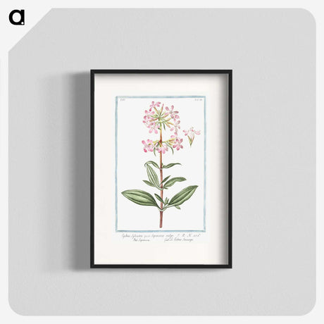 1-23_Hortus-Romanus-Botanical-Plates_blk
