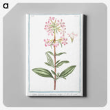 1-23_Hortus-Romanus-Botanical-Plates_canvas