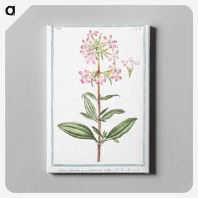 1-23_Hortus-Romanus-Botanical-Plates_canvas