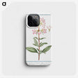 1-23_Hortus-Romanus-Botanical-Plates_phone