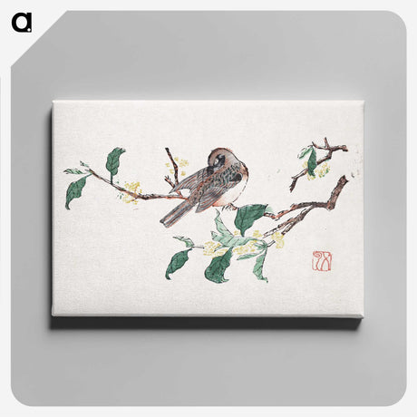 1-23_Hu-Zhengyan_canvas