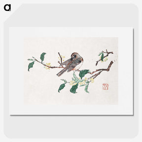 1-23_Hu-Zhengyan_picture