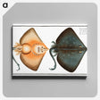 1-23_Ichtyologie-ou-Histoire-naturelle_canvas