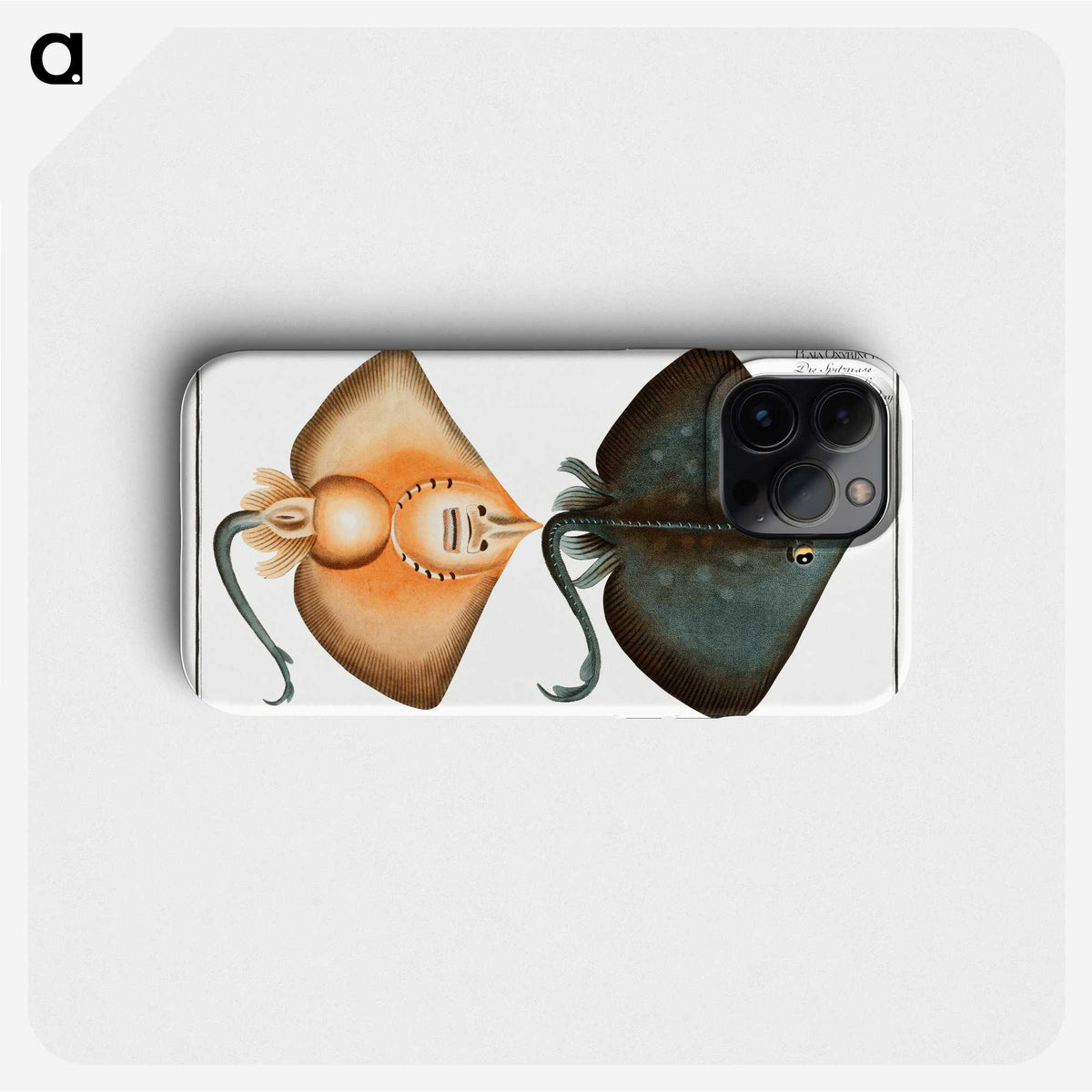 1-23_Ichtyologie-ou-Histoire-naturelle_phone