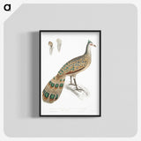 1-23_Indian-Zoology_blk-crop