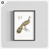 1-23_Indian-Zoology_blk
