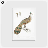 1-23_Indian-Zoology_hagaki