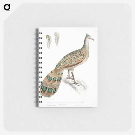 1-23_Indian-Zoology_memo