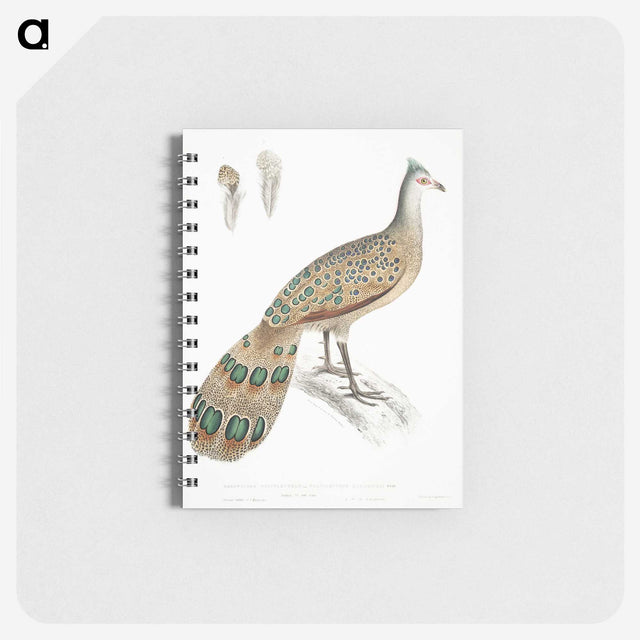 1-23_Indian-Zoology_memo