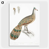 1-23_Indian-Zoology_picture-crop