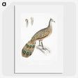 1-23_Indian-Zoology_picture