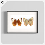 1-23_Insects-Unlocked-Project_blk