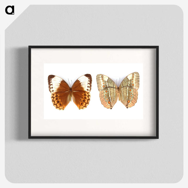 1-23_Insects-Unlocked-Project_blk
