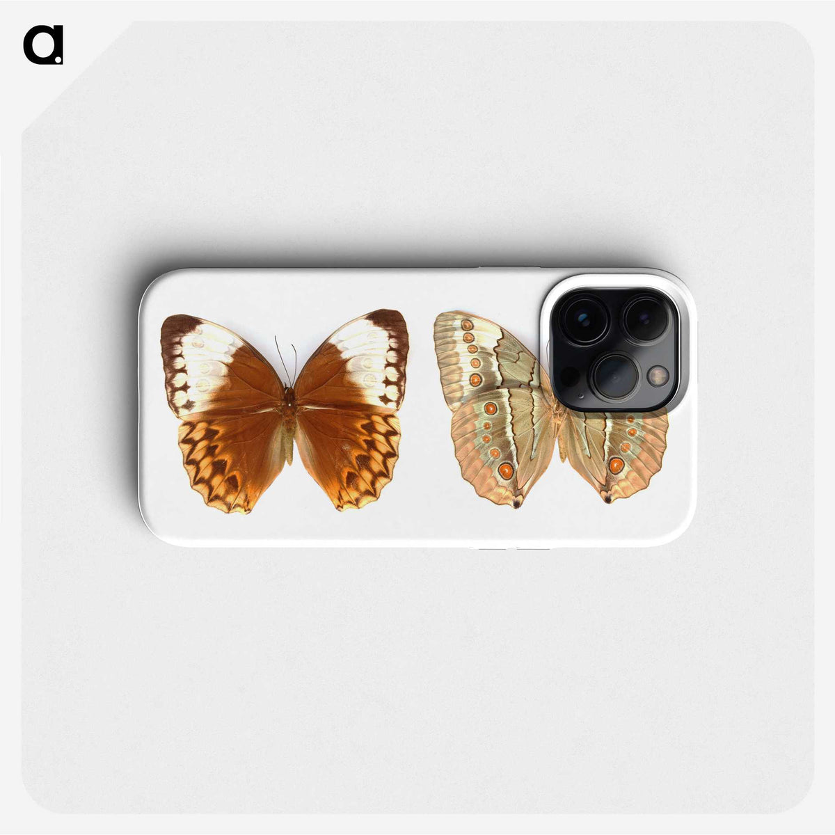 1-23_Insects-Unlocked-Project_phone