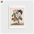アートポストカード-Anna Blackburne's Natural History Cabinet
 - ジェームズ ボルトン Postcard.