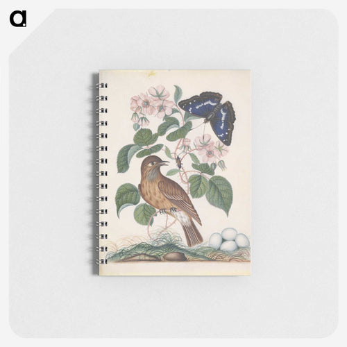 Anna Blackburne's Natural History Cabinet
 - ジェームズ ボルトン Memo.