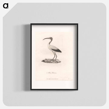 Abou Hannes
 - ジェームス ヒース Poster.
