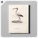 1-23_James-Heath_canvas