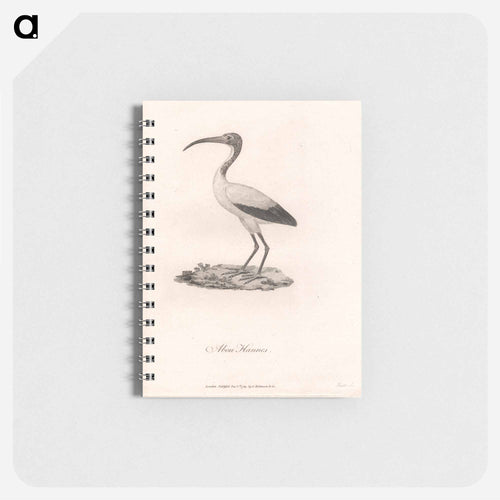 Abou Hannes
 - ジェームス ヒース Memo.