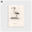 1-23_James-Heath_postcard
