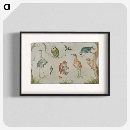 Study of Birds and Monkeys
 - ヤン ファン ケッセル Poster.