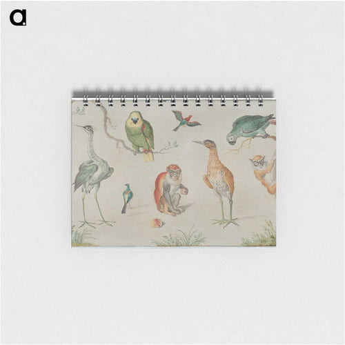 Study of Birds and Monkeys
 - ヤン ファン ケッセル Memo.