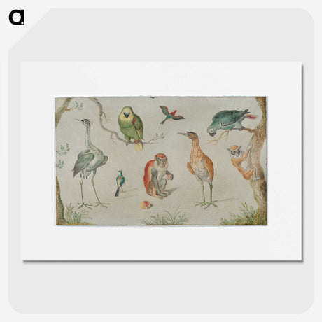 1-23_Jan-Van-Kessel_picture