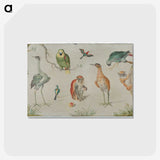 1-23_Jan-Van-Kessel_postcard
