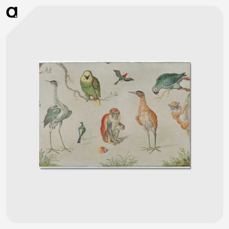 1-23_Jan-Van-Kessel_postcard