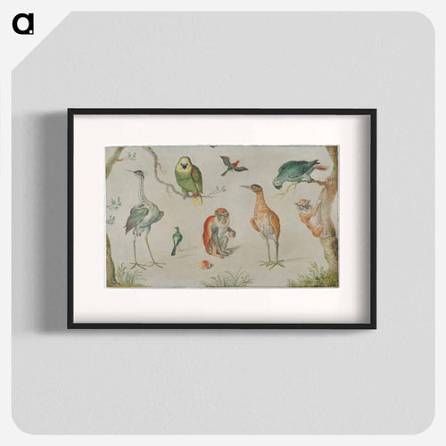 Study of Birds and Monkeys
 - ヤン ファン ケッセル Poster.