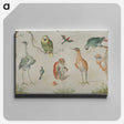 アートパネル-Study of Birds and Monkeys
 - ヤン ファン ケッセル Canvas.