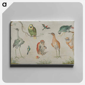 アートパネル-Study of Birds and Monkeys
 - ヤン ファン ケッセル Canvas.