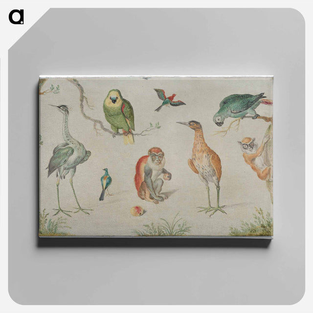アートパネル-Study of Birds and Monkeys
 - ヤン ファン ケッセル Canvas.