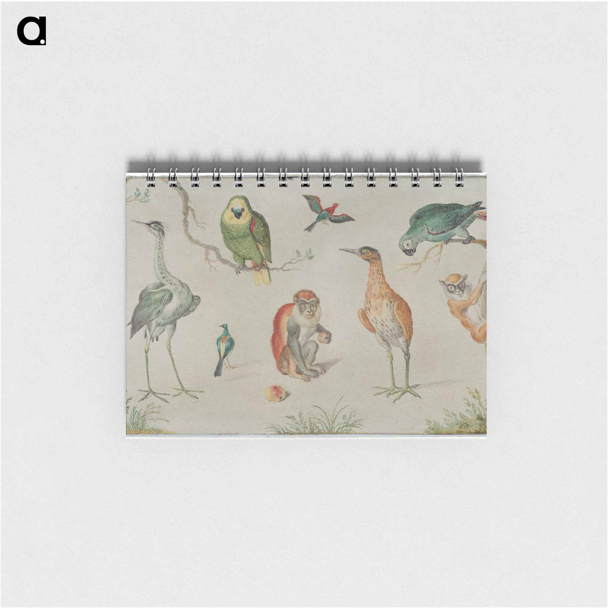 アートメモ帳-Study of Birds and Monkeys
 - ヤン ファン ケッセル Memo.