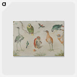 アートポストカード-Study of Birds and Monkeys
 - ヤン ファン ケッセル Postcard.