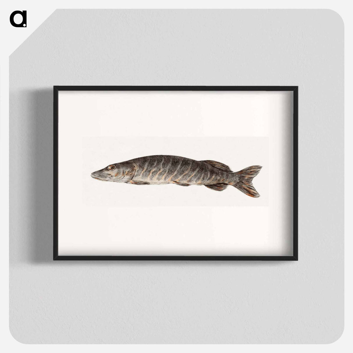 Pike-fish - Jean Bernard Poster.