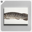 1-23_Jean-Bernard_canvas