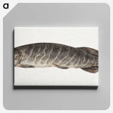 1-23_Jean-Bernard_canvas