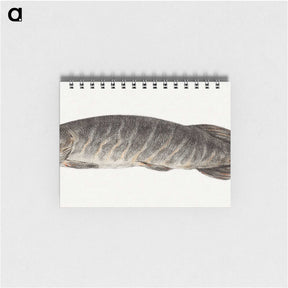 1-23_Jean-Bernard_memo
