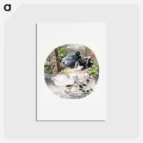 アートポストカード-British Ducks
 - ジョン フレデリック ヘリング Postcard.