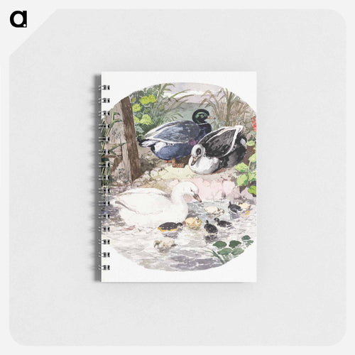 British Ducks
 - ジョン フレデリック ヘリング Memo.