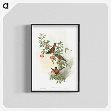 1-23_John-Gould_blk-crop