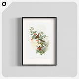1-23_John-Gould_blk