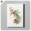 1-23_John-Gould_canvas