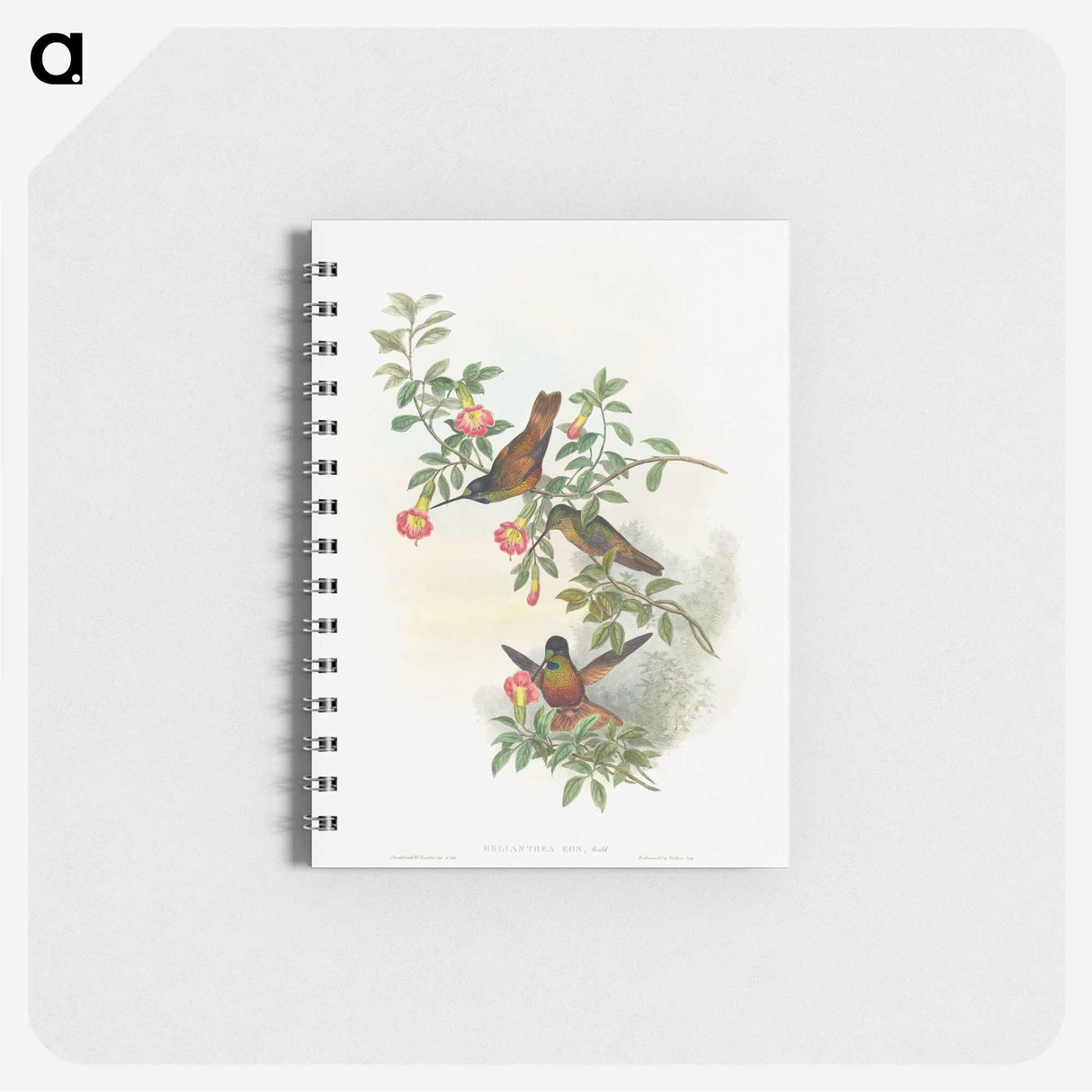 1-23_John-Gould_memo