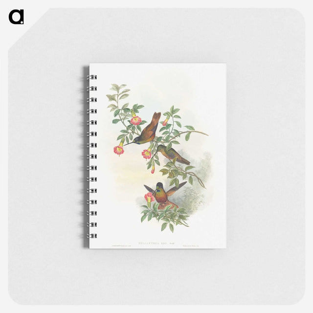 1-23_John-Gould_memo